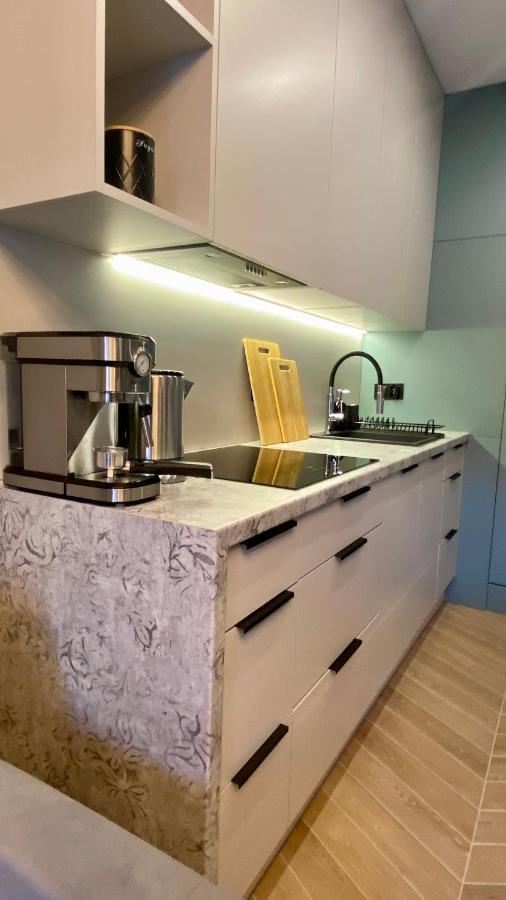 Appartamento Grey House + Free Parking Breslavia Esterno foto